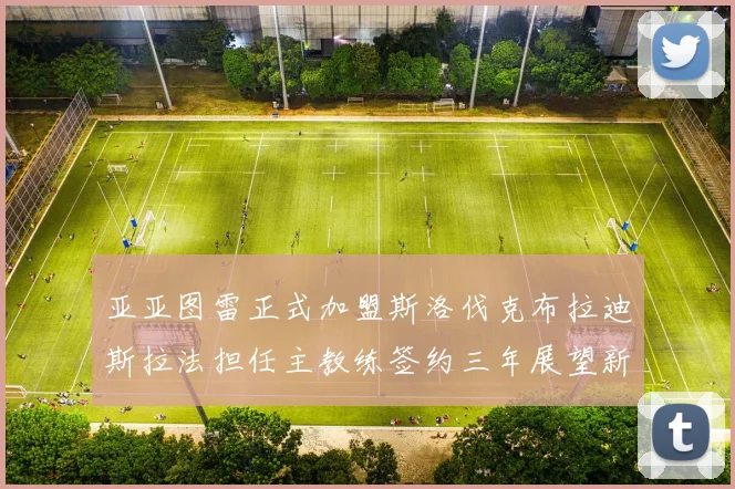 亚亚图雷正式加盟斯洛伐克布拉迪斯拉法担任主教练签约三年展望新篇章