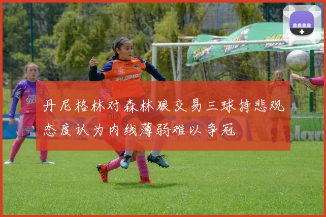 丹尼格林对森林狼交易三球持悲观态度认为内线薄弱难以争冠